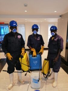 Fumigation and Pest Control in Mombasa